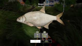 Three good spots for fish on Mosquito Lake | Steam | PC | RF4