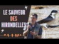 Reportage le sauveur des hirondelles  ren geymann