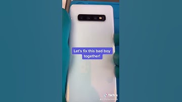 Water Damage repair samsung s10 (toilet water)