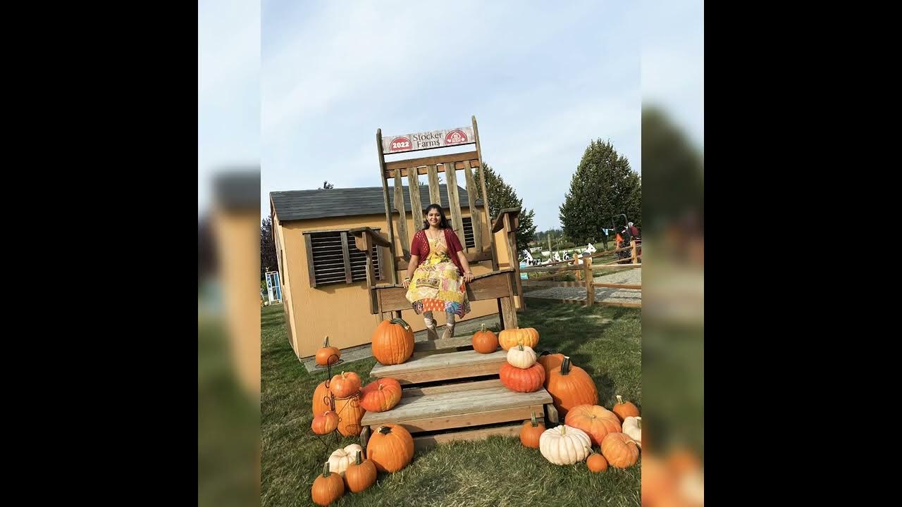 Washington state sunflower festival. Happy Stocker farm time. seattle pumpkin sunflower 