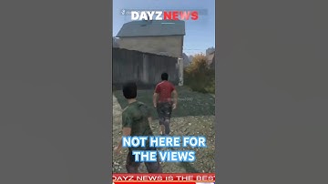 Not here for the views #dayz