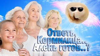 видео: 1081.  Яма пристраевает подгнивающий пельмень.. картинка: 1081.  Яма пристраевает подгнивающий пельмень..