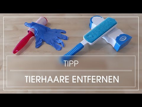 Video: Singen lernen: 14 Schritte (mit Bildern)