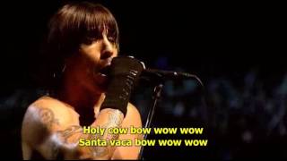 12 - Right on Time - Red Hot Chili Peppers Live at Slane Castle (Legendado\Traduzido) PT-BR