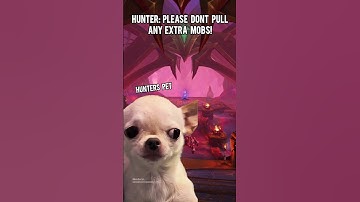 please dont pull any extra mobs #wow #worldofwarcraft #warcraft