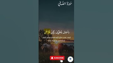 اكتب شيء تؤجر عليه 🤍 🤲🏻 #quran #اسلام #قرآن #راحة_نفسية #سورة_الضحى