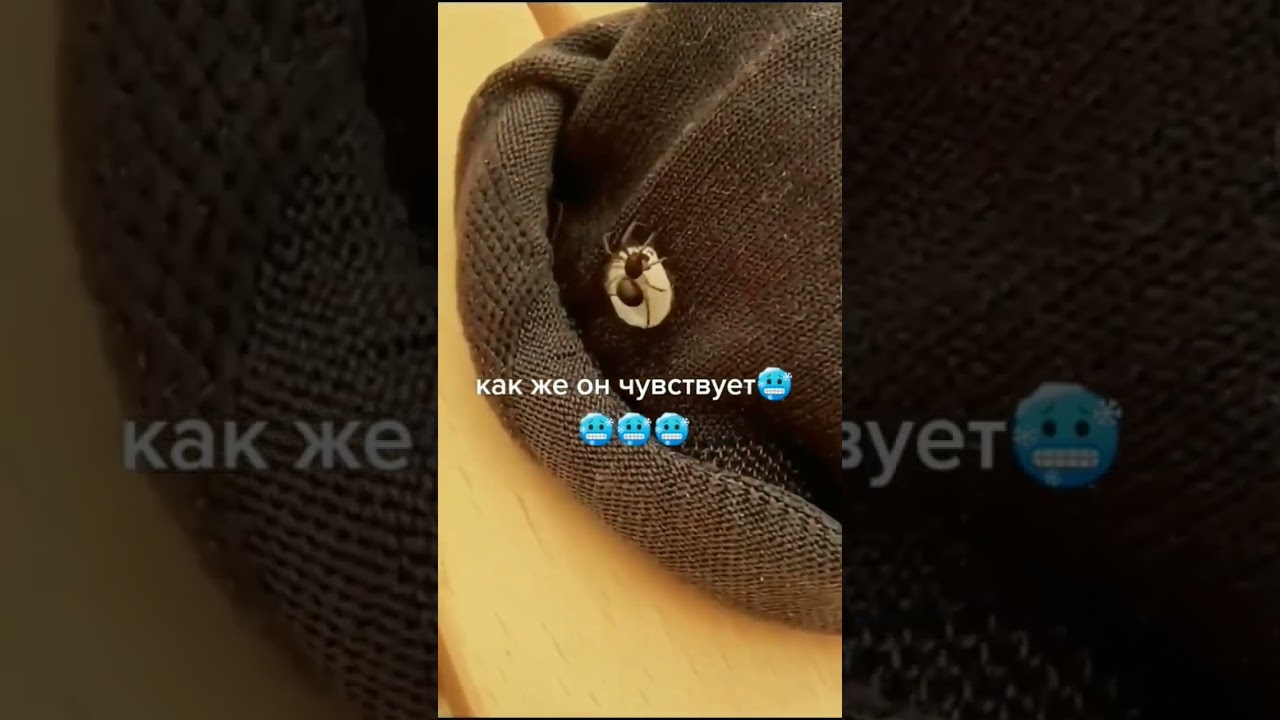 preview_player