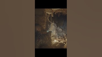 Not falling for this $hit again