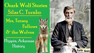🎙️ Mrs. Tersey Fellows and The Wolves 🐺🐺+ ✍️History of Flippin, Arkansas  &  Lee Mountain ⛰️ screenshot 5