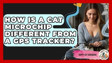 How Is A Cat Microchip Different From A GPS Tracker? - Happy Cat Handbook