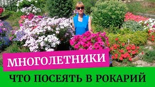 видео Очиток для альпинария