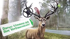 Lvm Versicherung Youtube