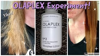 Olaplex No. 3 | HAIR EXPERIMENT!