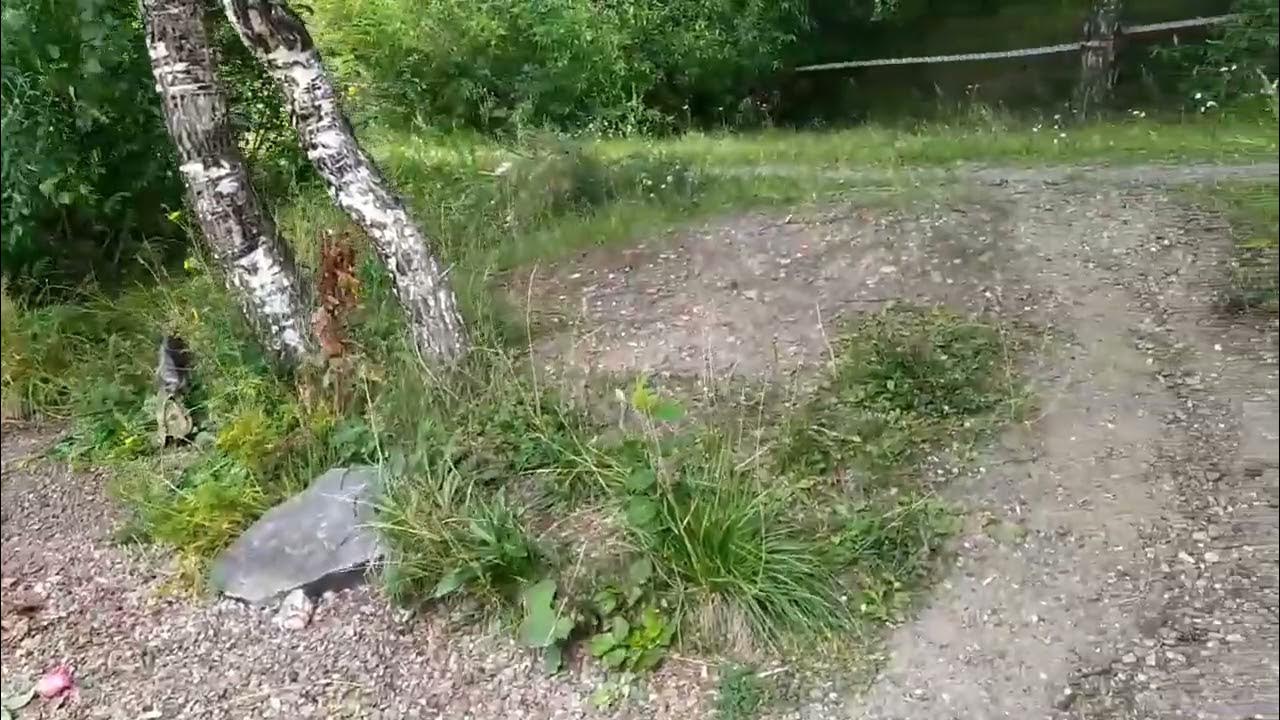 железногорск убитая девушка.