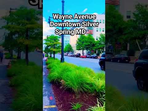 Wayne Avenue #downtown #silver #spring #maryland #usa #travel #landmark  🇺🇸
