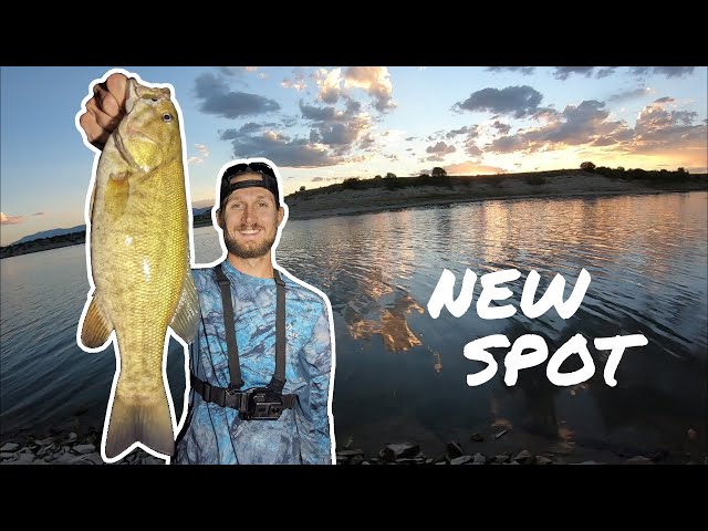 Fishing a NEW Spot at Lake Pueblo State Park! (BIG BASS) 