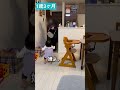 【続編】大好きなばぁばとのお別れ 絶叫出産した助産師