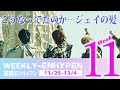 【WEEK11】週間エンハイフンまとめ 11/28-12/4　WEEKLY- ENHYPEN（エナイフン、エナイプン）