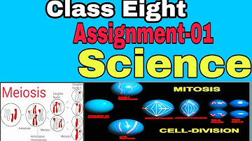 Science assignment-01 //Class Eight(8)//বিজ্ঞান অ্যাসাইনমেন্ট //Mitosis/ Meiosis//Cell division.