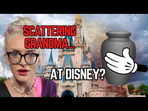 The Unexpected Consequences Of Disneyyrose Leaks