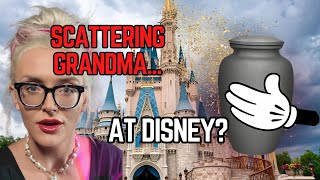 People Are Scattering Ashes at Disney... and It's a Problem