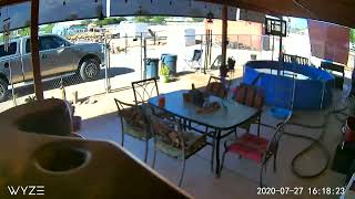 Watch how far a tin shed flies! Dust devil 🌪️ Lands in neighbor's yard! (See behind red sun shade).