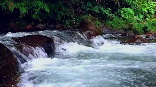 Relax well with gurgling water - nature sound for relaxing, ASMR