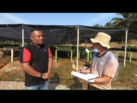 MPOB Lead Auditor Course of Code of Good Nursery Practice for Oil Palm Nurseries (Part1)