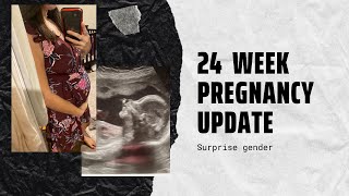 24 Weeks Pregnant Update Home Birth Plan Surprise Gender