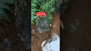 Mencari Spot Mancing