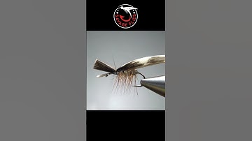 Flat Wing Caddis (#flytying dry flies)