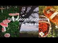 Cottagecore/Goblincore Tik Toks #6