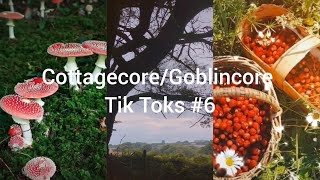 Cottagecore/Goblincore Tik Toks #6