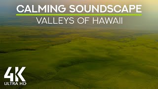 Calming Sounds of Hawaii&#39;s Green Valleys - 4K Scenic Aerial Views + Sounds of Wind &amp; Tropical Birds