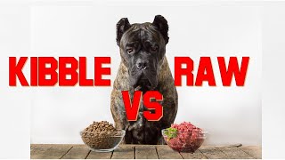 In this episode of the toronto dog whisperer we take a look at price
commercial kibble verses ingredients to make your own raw food diet
for dog....