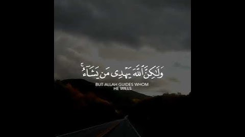 حالات واتس اب القران الكريم #quran