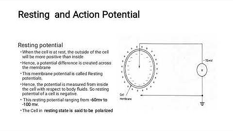 OMD551-Basics of Biomedical Instrumentation 5th Sem EEE Dr.M.Suthanthira   ACEW
