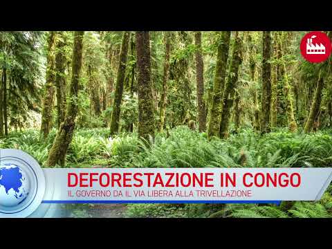 TG Energia: gas e petrolio - video from Sogedim