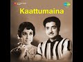 Kaattukurinji Mp3 Song