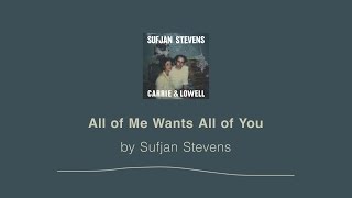All of Me Wants All of You - Sufjan Stevens lyric video
