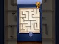 Insect Maze Speed Race Shorts