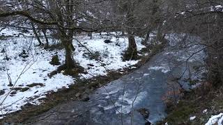 Un invierno en los montes de Cantabria.