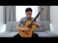 Swan and maiden  played by hon ho nam composed by xia weinan