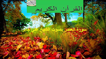 سورة العصر بصوت الشيخ علي جابر