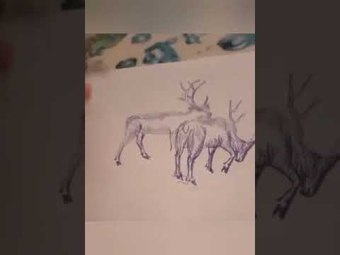 #2023 #drawing #reindeer #рисуем #северный #олень #вмиредомашнихживотных