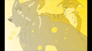 Warrior cat map OPEN! -Don