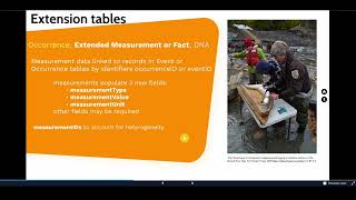 OBIS Schema: Core and Extension tables (2024)