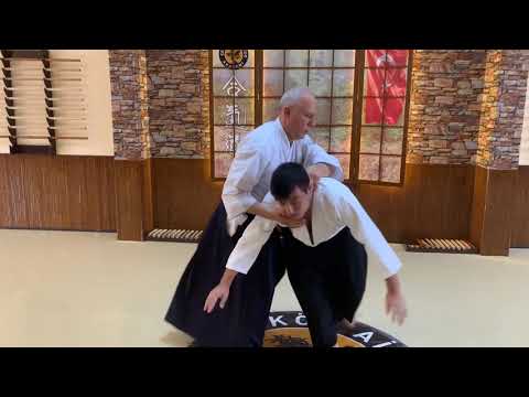 Ai Hanmi Katetedori Uchi Kaiten İriminage | Yetişkin Aikido | Genç Aikido |