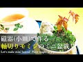 【実生で作る】モミジ盆栽（半年生）磁器（小皿）に穴をあけて植える｜Japanese maple "Plant in a porcelain cup!"／bonsai