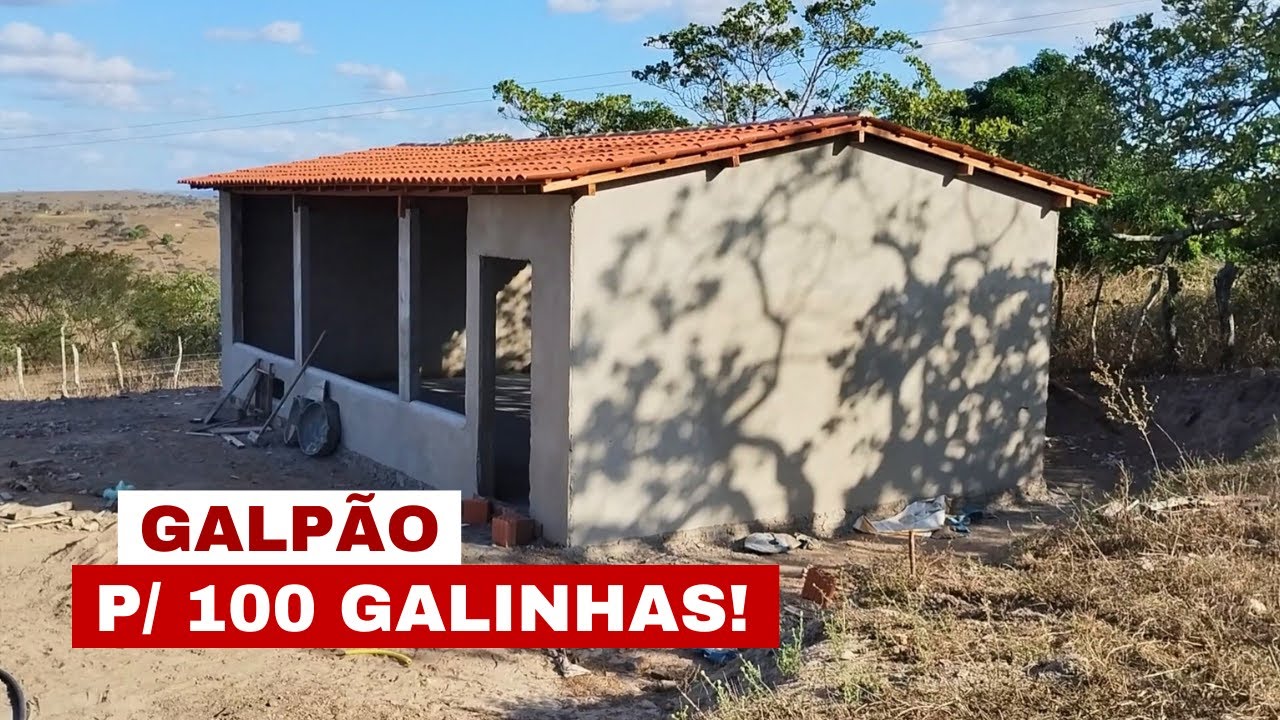 COMO FAZER O GALPÃO PARA 100 GALINHAS POEDEIRAS